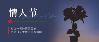 情人节简约实景夜晚玫瑰蓝色公众号首图 模板ID:29066