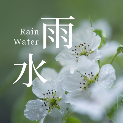 二十四节气雨水简约实景绿色公众号次图 模板ID：29255