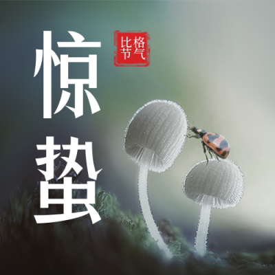 二十四节气惊蛰简约实景绿色公众号次图 模板ID:29644
