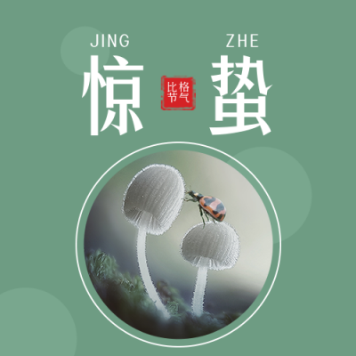 二十四节气惊蛰简约实景绿色公众号次图 模板ID:29643