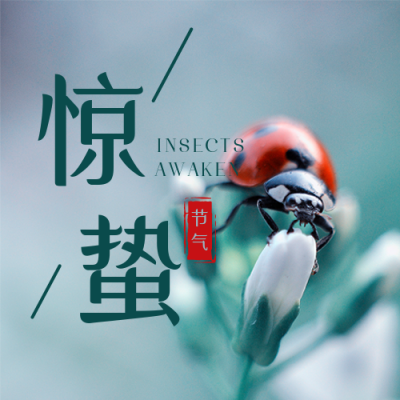 二十四节气惊蛰简约实景瓢虫绿色公众号次图 模板ID：29627