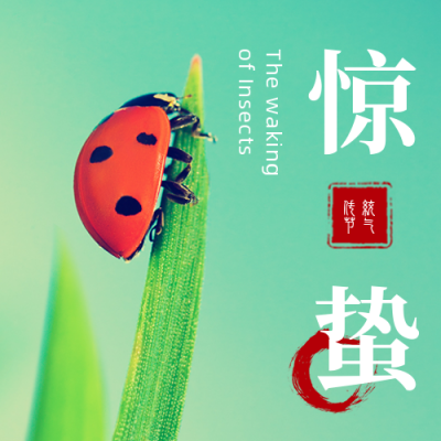 简约惊蛰节气实景祝福公众号次图 模板ID:29779