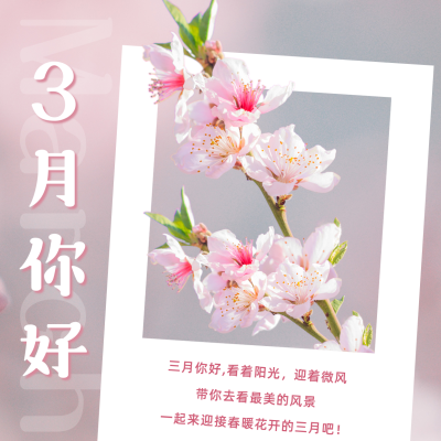 清新三月你好月初问候祝福方形海报 模板ID：29798