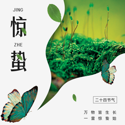 惊蛰节气蝴蝶方形海报 模板ID:29790