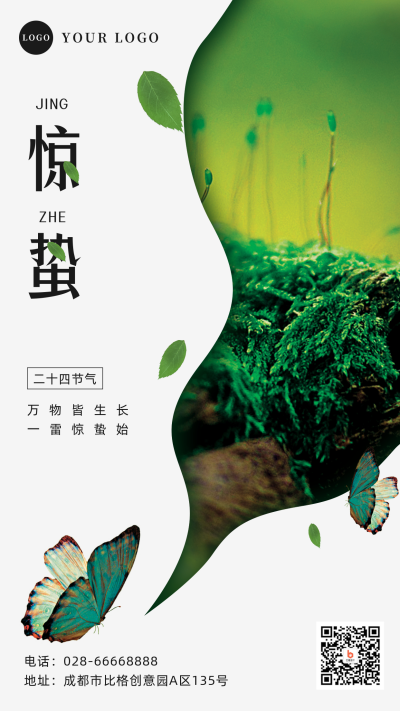 惊蛰节气蝴蝶手机海报 模板ID：29786