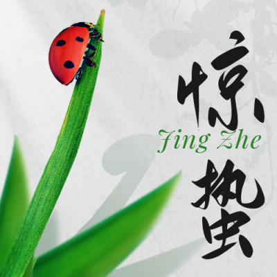 惊蛰节气简约七星瓢虫公众号次图 模板ID:29784