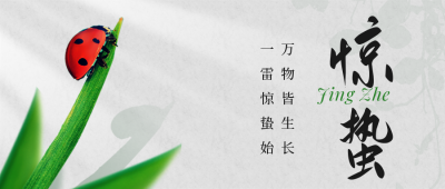 惊蛰节气简约七星瓢虫公众号首图 模板ID:29783