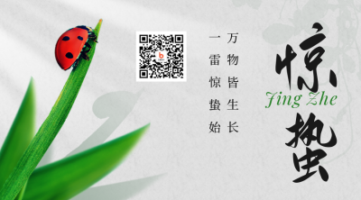 惊蛰节气简约七星瓢虫关注二维码 模板ID：29782