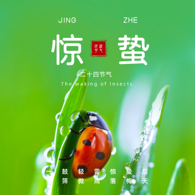 惊蛰节气实景祝福方形海报 模板ID:29776