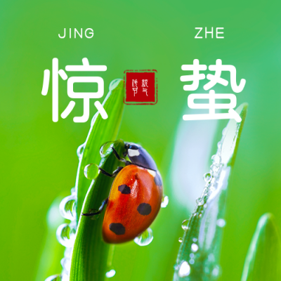 惊蛰节气实景祝福公众号次图 模板ID:29775