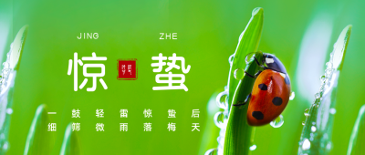 惊蛰节气实景祝福公众号首图 模板ID:29774