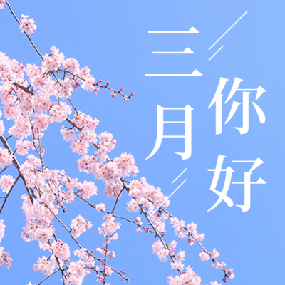 三月你好日签简约实景春季樱花蓝色公众号次图 模板ID:29822