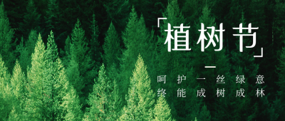 植树节简约实景森林绿色公众号首图 模板ID:30068