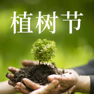 植树节简约实景树苗绿色公众号次图 模板ID:30065