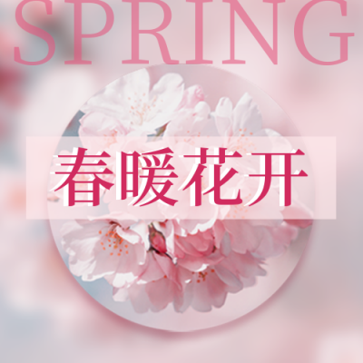 粉色文艺清新春季赏花公众号次图 模板ID：30295