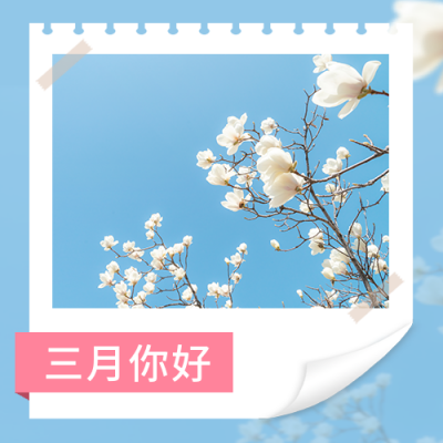 文艺清新早安问候日签公众号次图 模板ID：30438