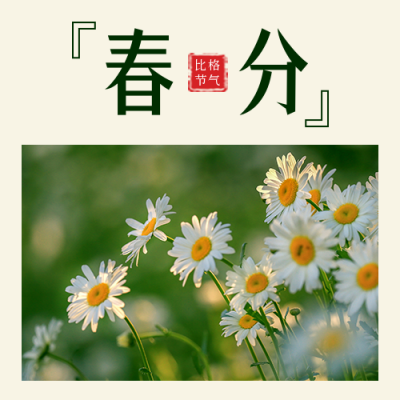 二十四节气春分简约日签实景绿色公众号次图 模板ID：30604