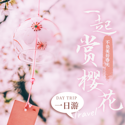 春季出游赏樱花旅游促销宣传方形海报 模板ID:30662
