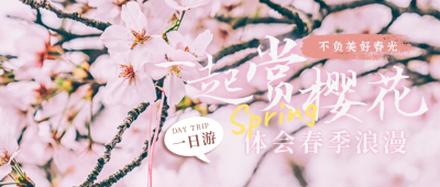 春季出游赏樱花旅游促销宣传公众号首图 模板ID:30660