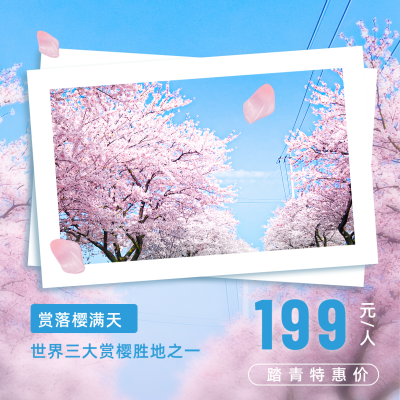 春日踏青赏花旅游活动宣传促销方形海报 模板ID:30658