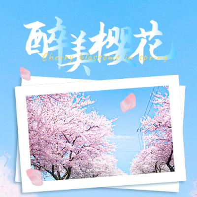 春日踏青赏花旅游活动宣传促销公众号次图 模板ID：30657