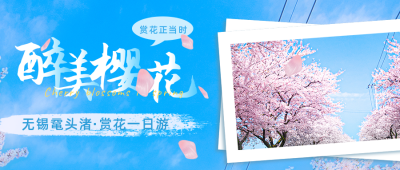 春日踏青赏花旅游活动宣传促销公众号首图 模板ID:30656