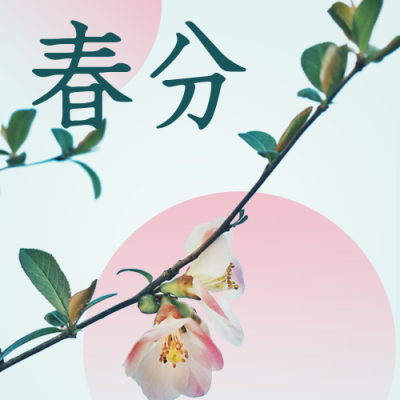 简约清新酸性春分节气公众号次图 模板ID:30861