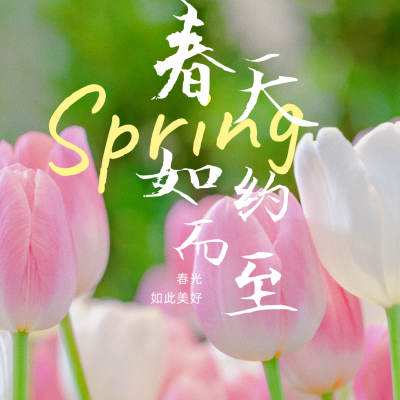 文艺清新春分春日踏青方形海报 模板ID:30835