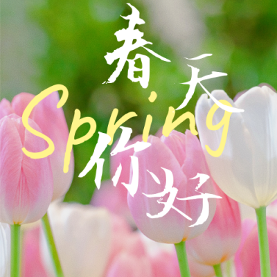 文艺清新春分春日踏青公众号次图 模板ID：30834