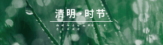 清明时节雨纷纷实景下雨动态引导关注 模板ID:31332