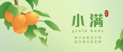 小满水果植物风景自然节气公众号首图 模板ID:32429