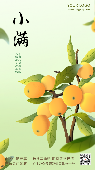 小满节气风景自然手绘手机海报 模板ID:32470