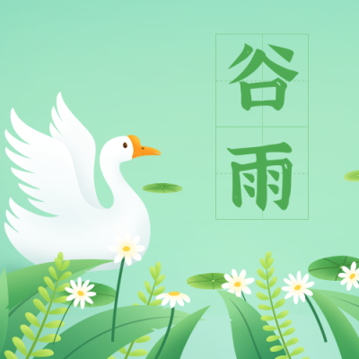 可爱手绘鸭鸭二十四节气谷雨公众号封面次图 模板ID：32560