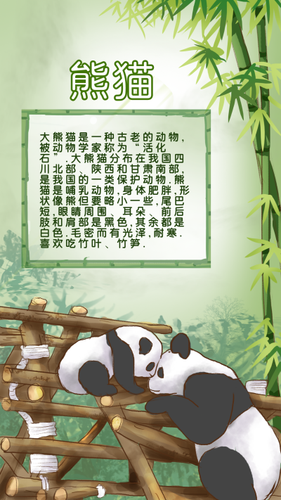 熊猫科普知识宣传手机海报 模板ID:33539