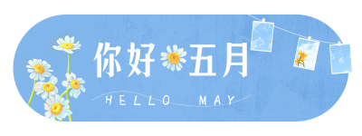 五月你好夏天蓝色清新雏菊照片墙胶囊banner 模板ID:33184