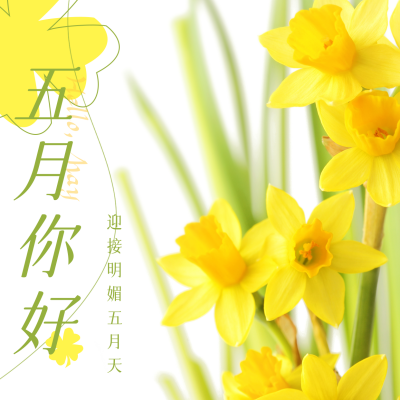 清新五月你好实景方形海报 模板ID:33178