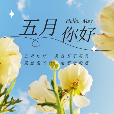 实景五月你好方形海报 模板ID:33173