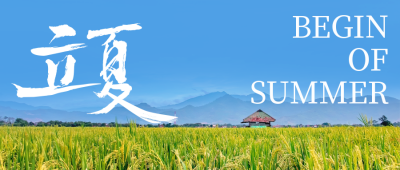 蓝色简约清新立夏节气公众号封面首图 模板ID：33262