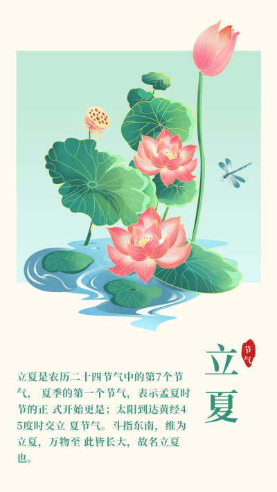 手绘中国风立夏节气夏至节气荷花竖版配图 模板ID:33518