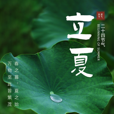 立夏荷叶实景节气方形海报 模板ID：33407