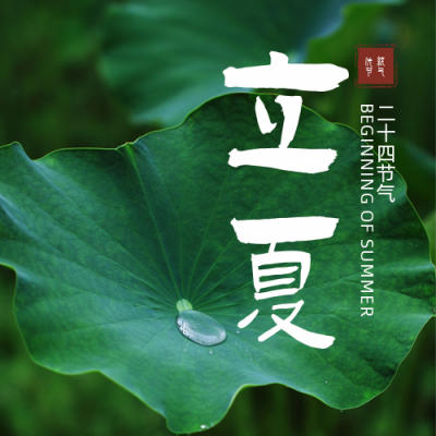 立夏荷叶实景节气公众号次图 模板ID：33406