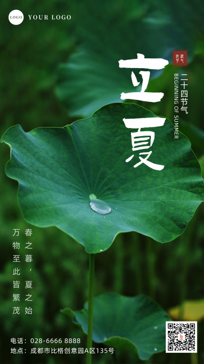 立夏荷叶实景节气手机海报 模板ID:33404