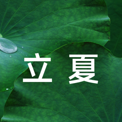 立夏节气绿色简约实景荷叶公众号次图 模板ID：33402