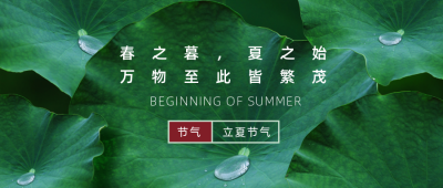 立夏节气实景荷叶公众号首图 模板ID：33401