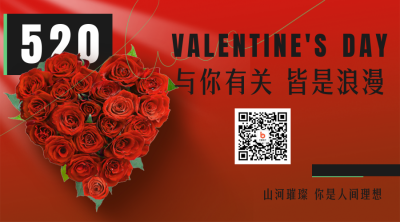 情人节玫瑰祝福关注二维码 模板ID：33666