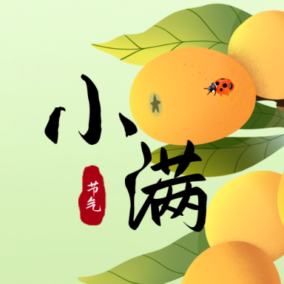 小满节气植物宣传封面次图 模板ID:33805
