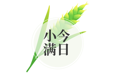 小满节气手绘小麦标题 模板ID:33908