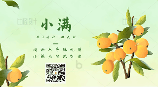 手绘夏季枇杷小满节气落叶动态二维码 模板ID:34188