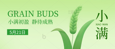 绿色清新小满节气祝福公众号封面首图 模板ID：34075