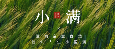 小满节气实景公众号首图 模板ID：34143
